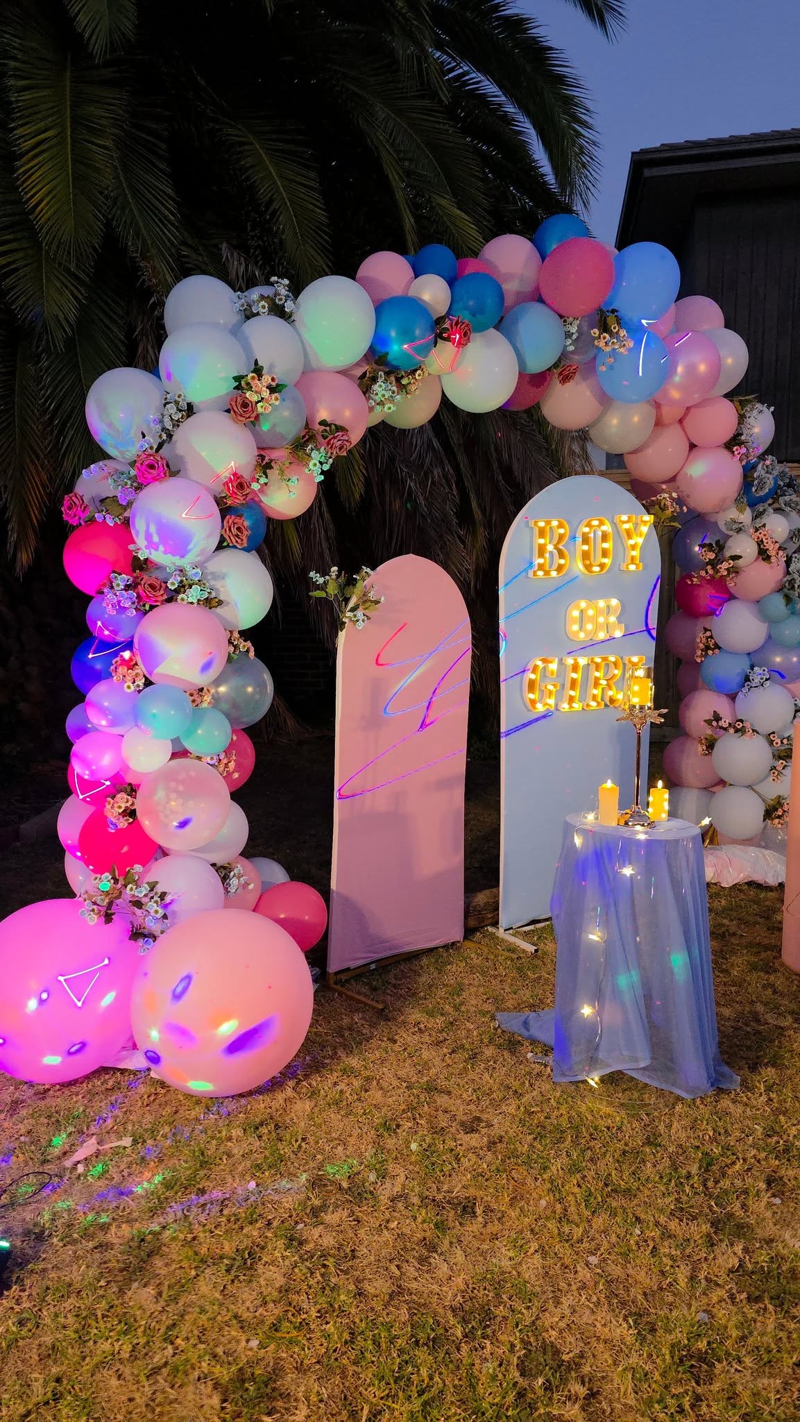 Boy or Girl Gender Reveal